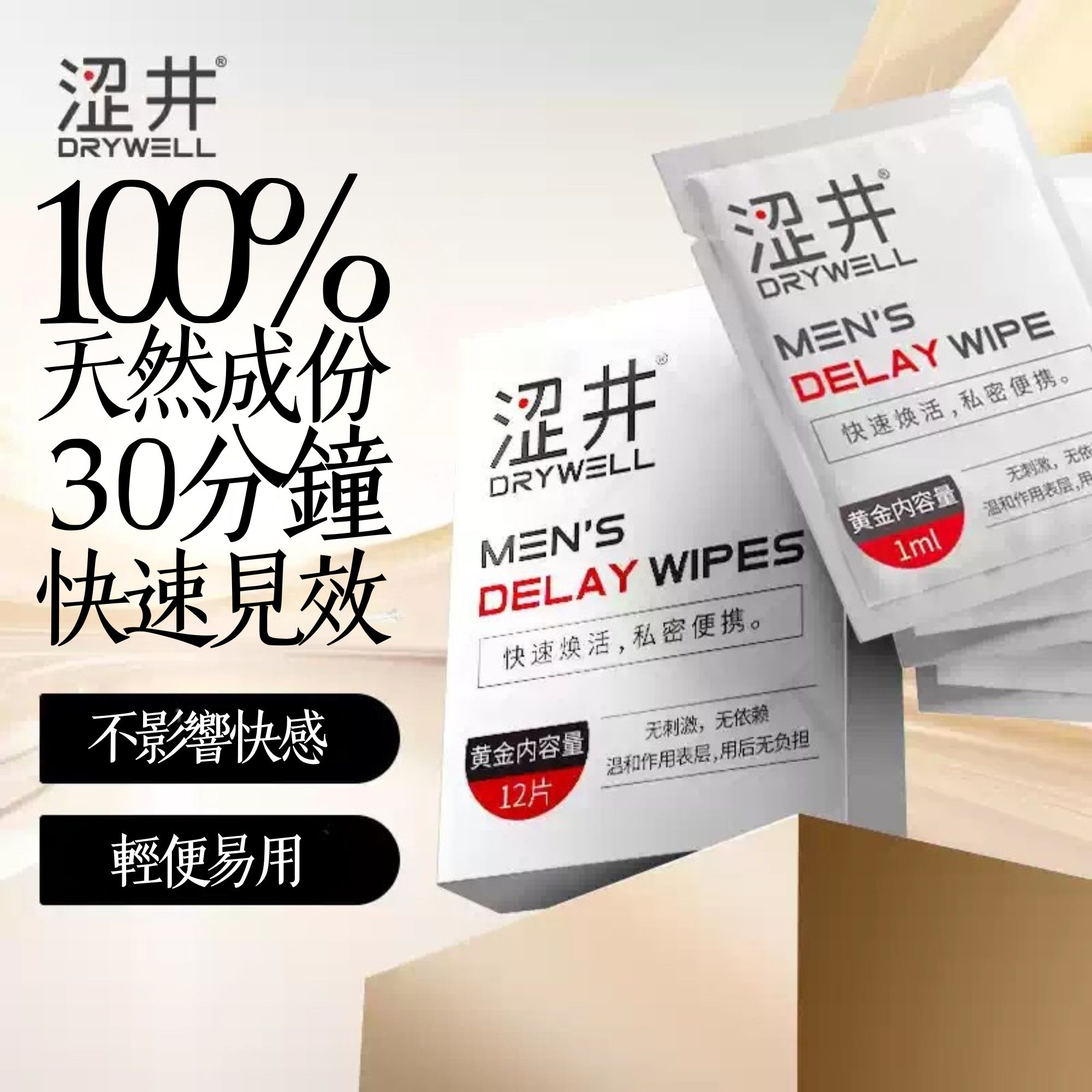 澀井 DRYWELL 持久濕紙巾 加強版12片