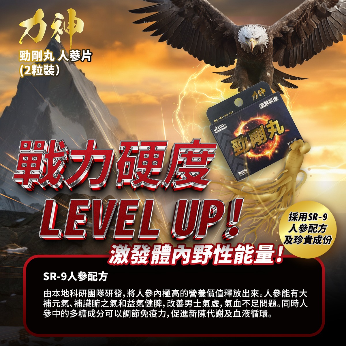 力神 - 勁剛丸 SR-9人參配方 (快速提高能量 100%天然草本 堅挺 持久 激發慾望)-03