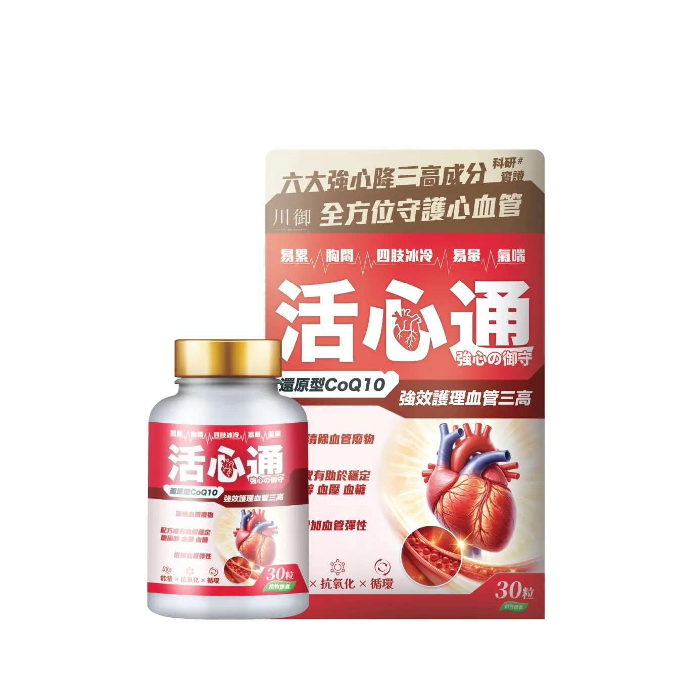 川御 活心通 4
